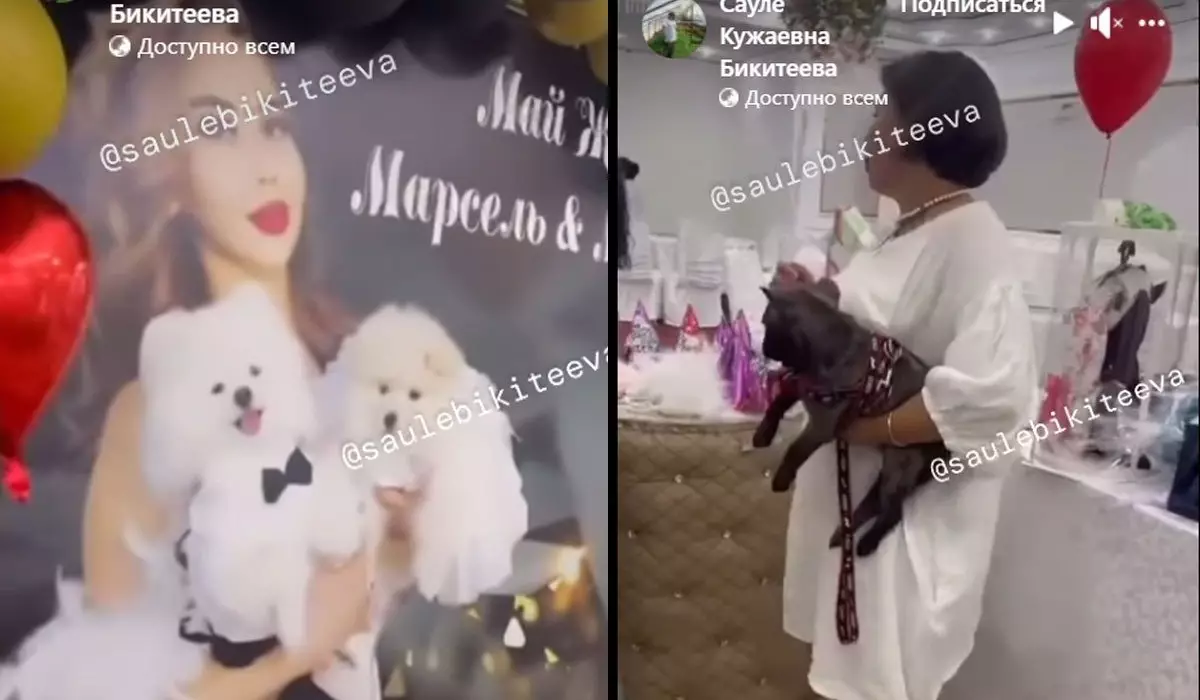 «Странная она»: казахстанка провела собачью свадьбу