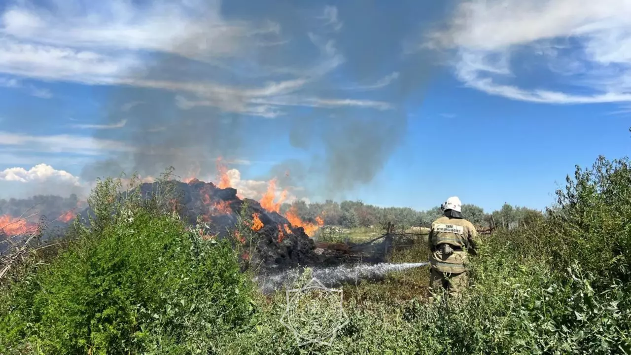 Крупное возгорание сена потушили в Алматинской области