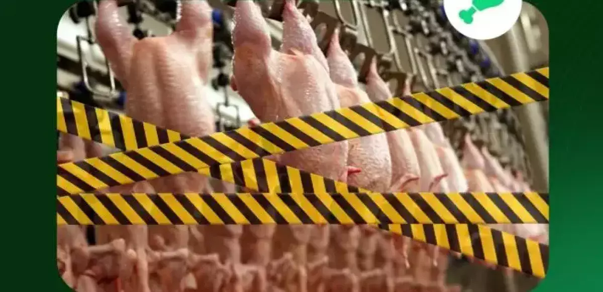 35 тыс кг мяса птицы незаконно ввезли в Казахстан из Китая