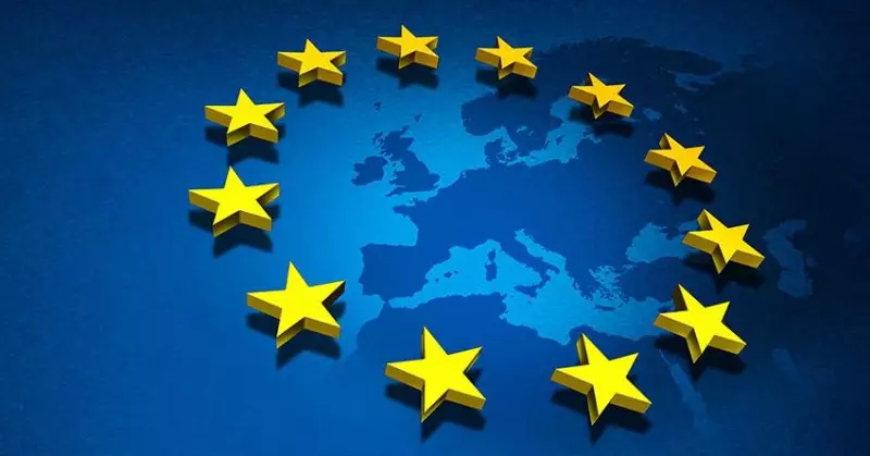 Совет ЕС официально начал расследование в отношении семи стран