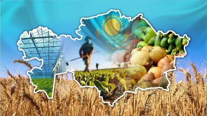Узбекистан лидирует по импорту сельхозтоваров из Казахстана