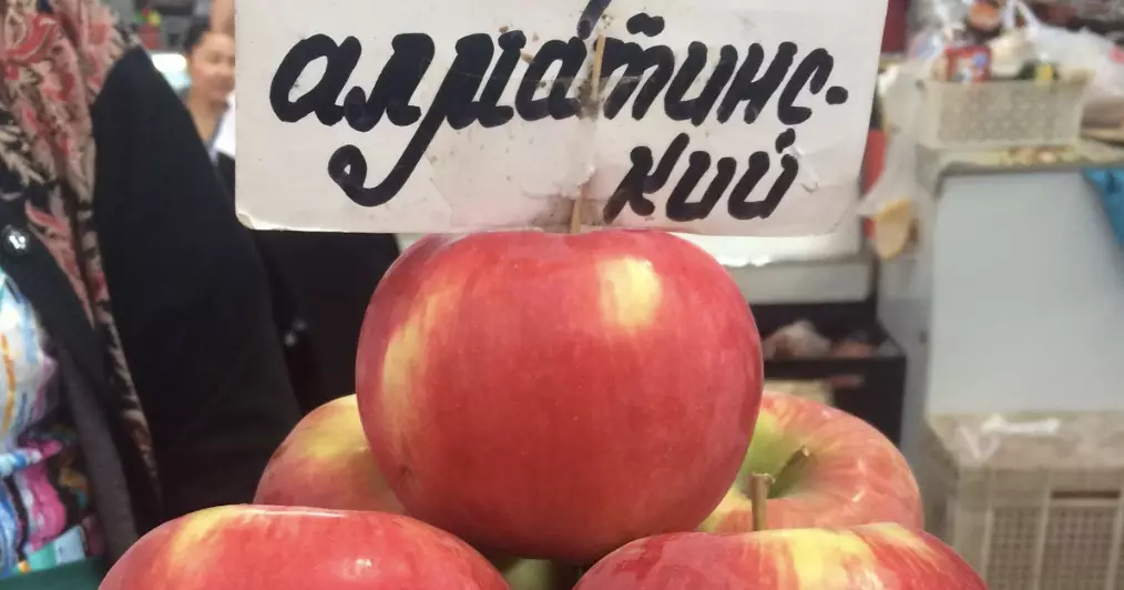 В Казахстане хотят разработать Нацстандарт для яблони сорта Апорт