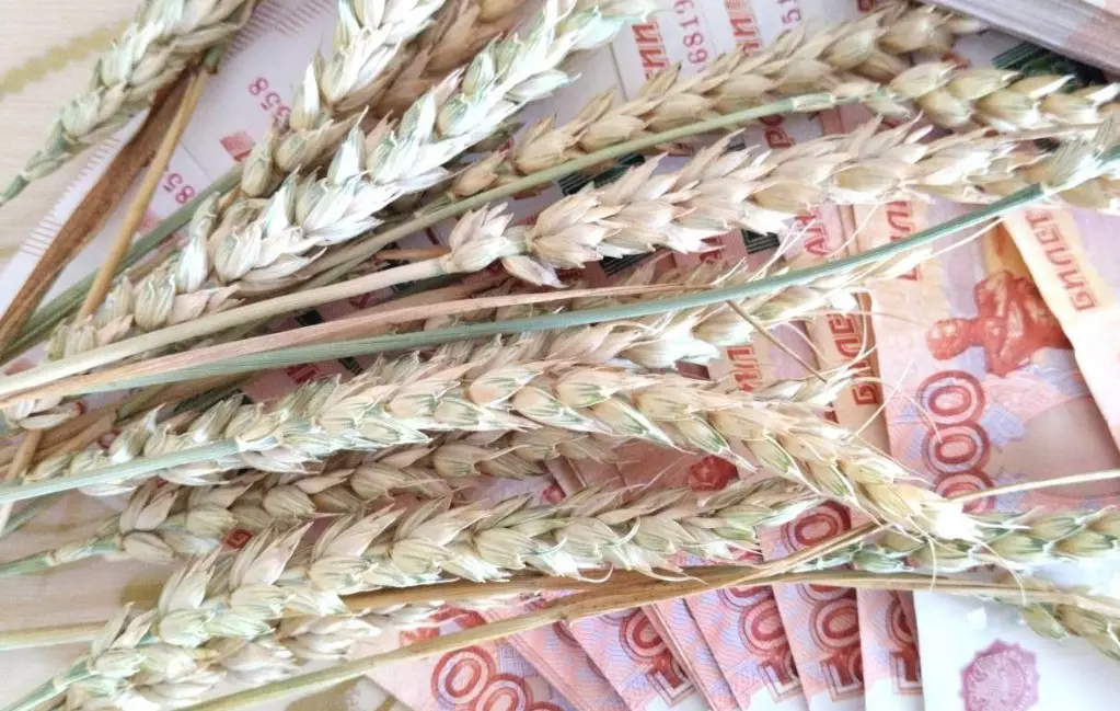Полный запрет на импорт российского зерна вводит Казахстан
