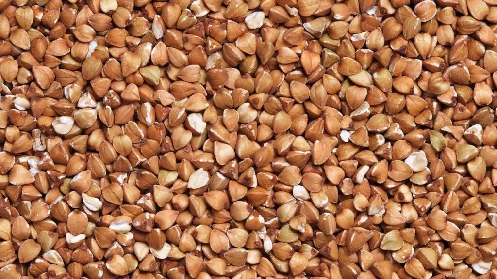 Казахстан может отправить в Азербайджан свыше миллиона тонн зерна