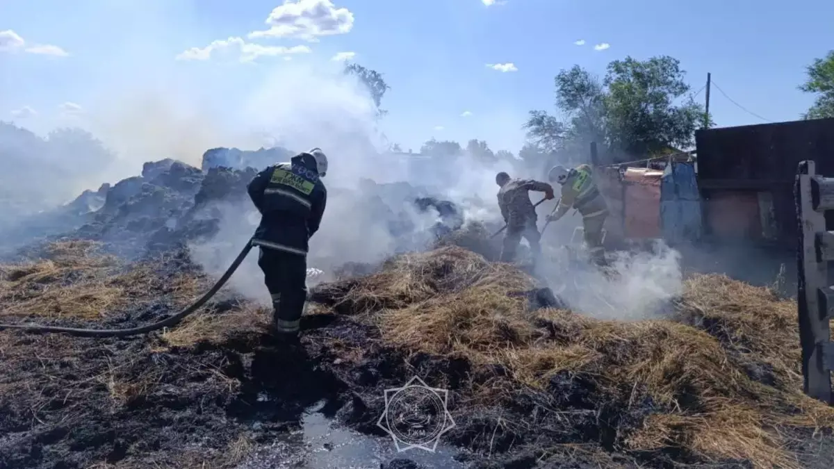 Крупный пожар разгорелся в селе Актюбинской области