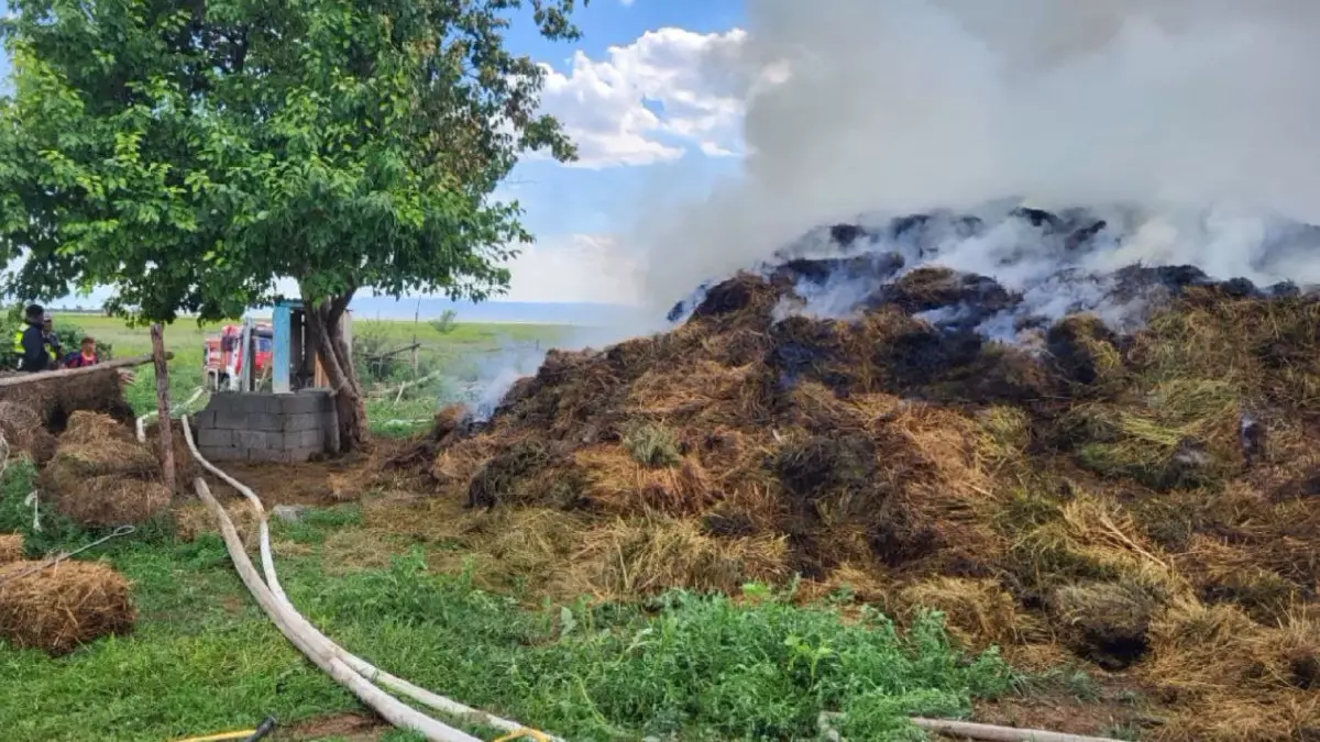 45 тонн сена загорелось в области Абай
