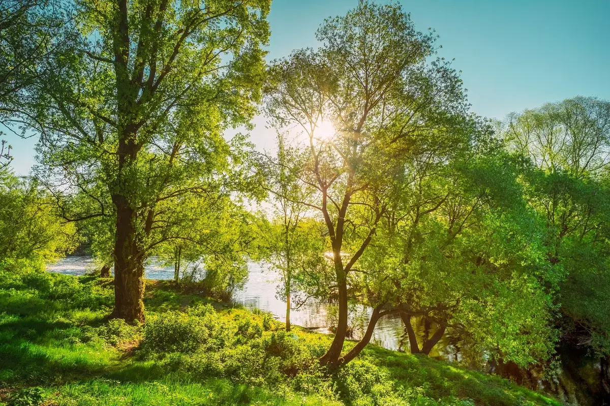 Жара до +38°C, гроза и ветер: прогноз погоды на 29 июля