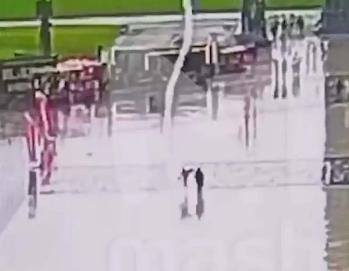 В парке Подмосковья молния ударила в людей, один погиб