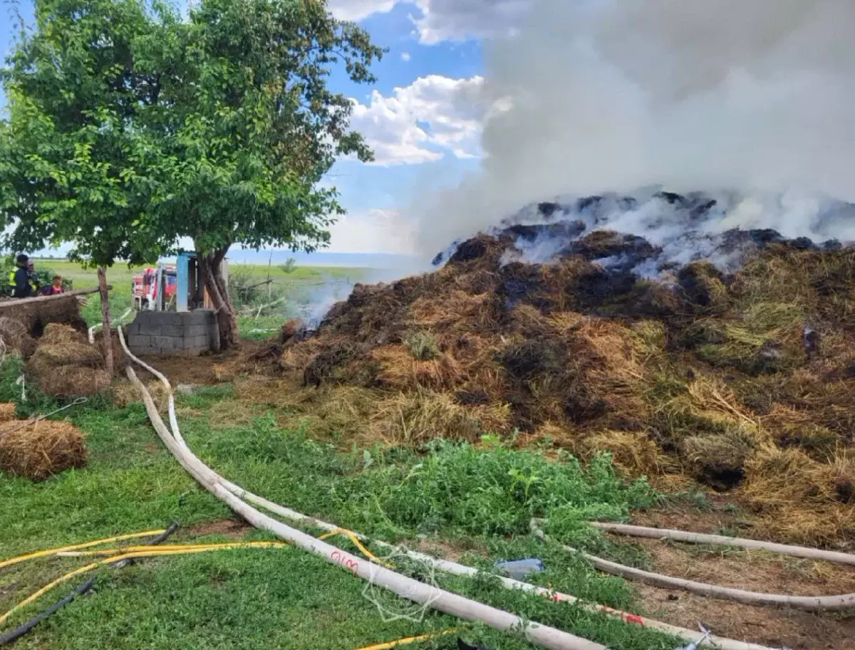 45 тонн сена горело в Абайской области