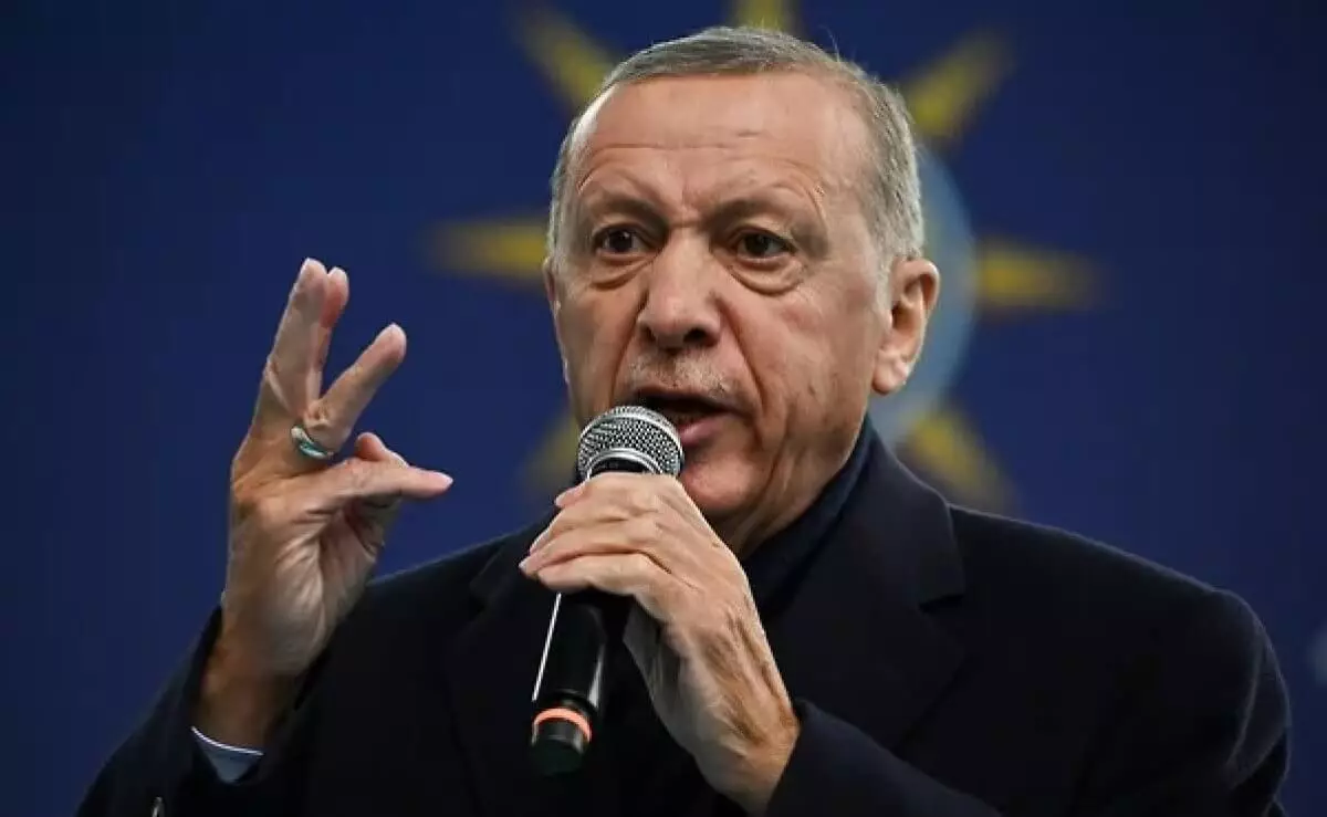 Эрдоган предупредил, что Турция может войти в Израиль