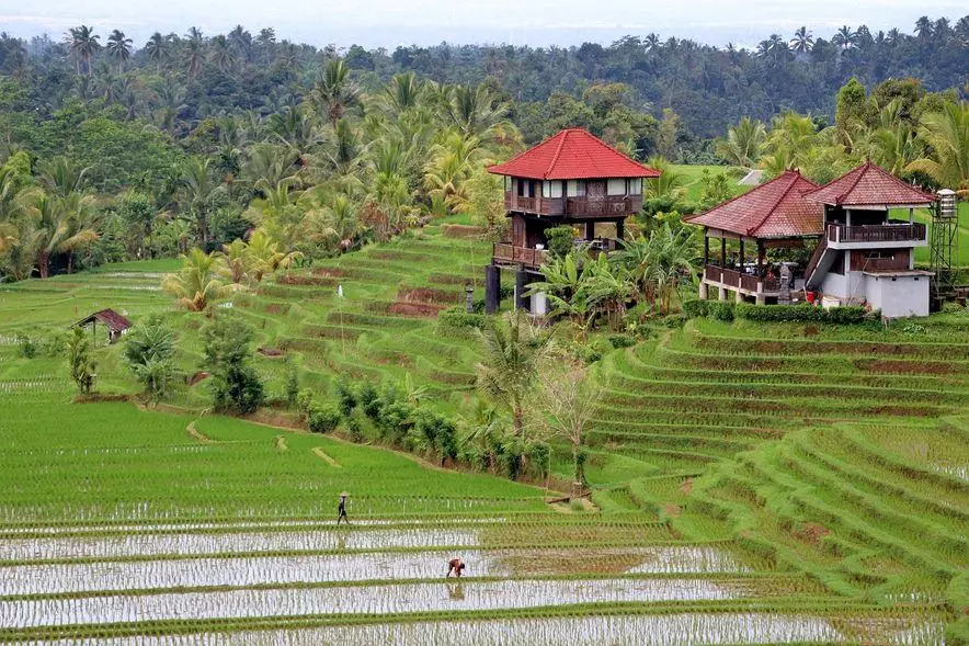 Власти Бали раскрыли основные причины отказов во въезде туристам