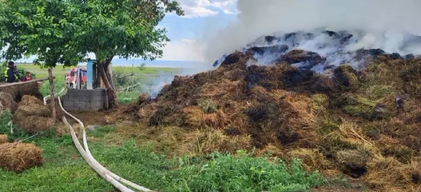 Почти 50 тонн сена загорелось в одном из сел области Абай