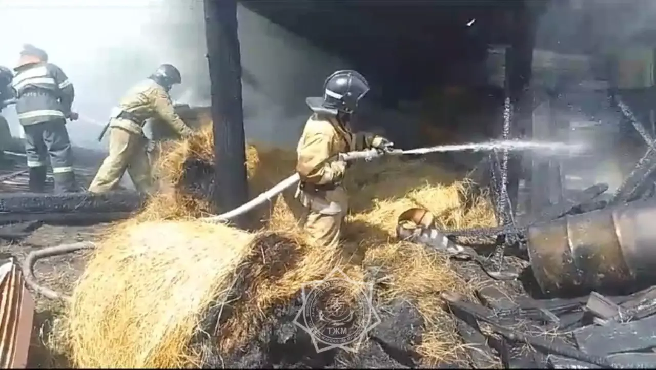 Пожар на хозпостройке ликвидировали в Астане