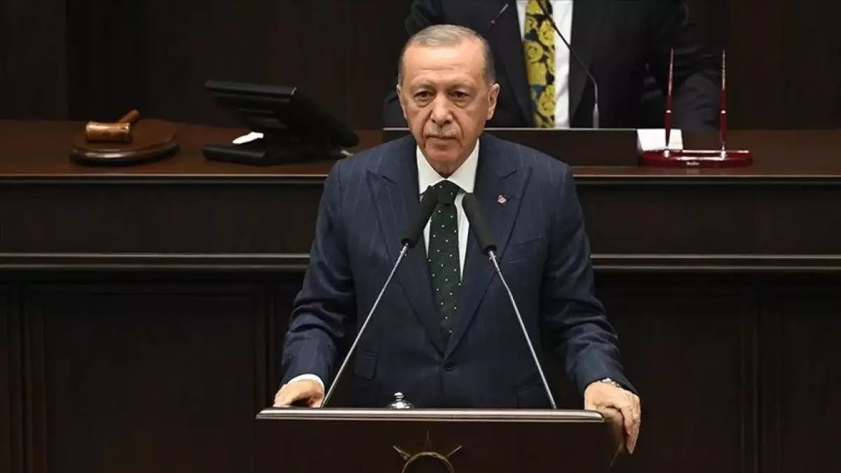Эрдоган допустил ввод турецких войск в Израиль