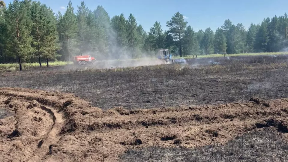 Лесной пожар потушили в Павлодарской области