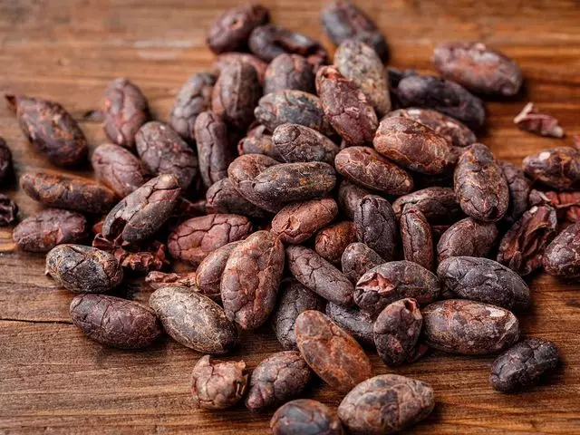 Цены на какао-бобы упали до $6,650 тысяч за тонну