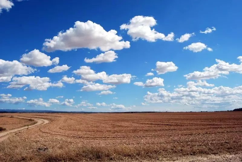 Государству вернули более 1 млн га сельхозземель в Казахстане