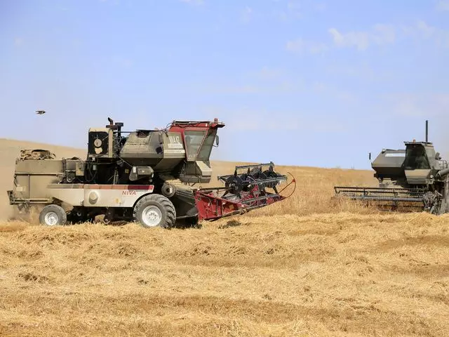 Минсельхоз намерен ввести полный запрет на импорт пшеницы в Казахстан