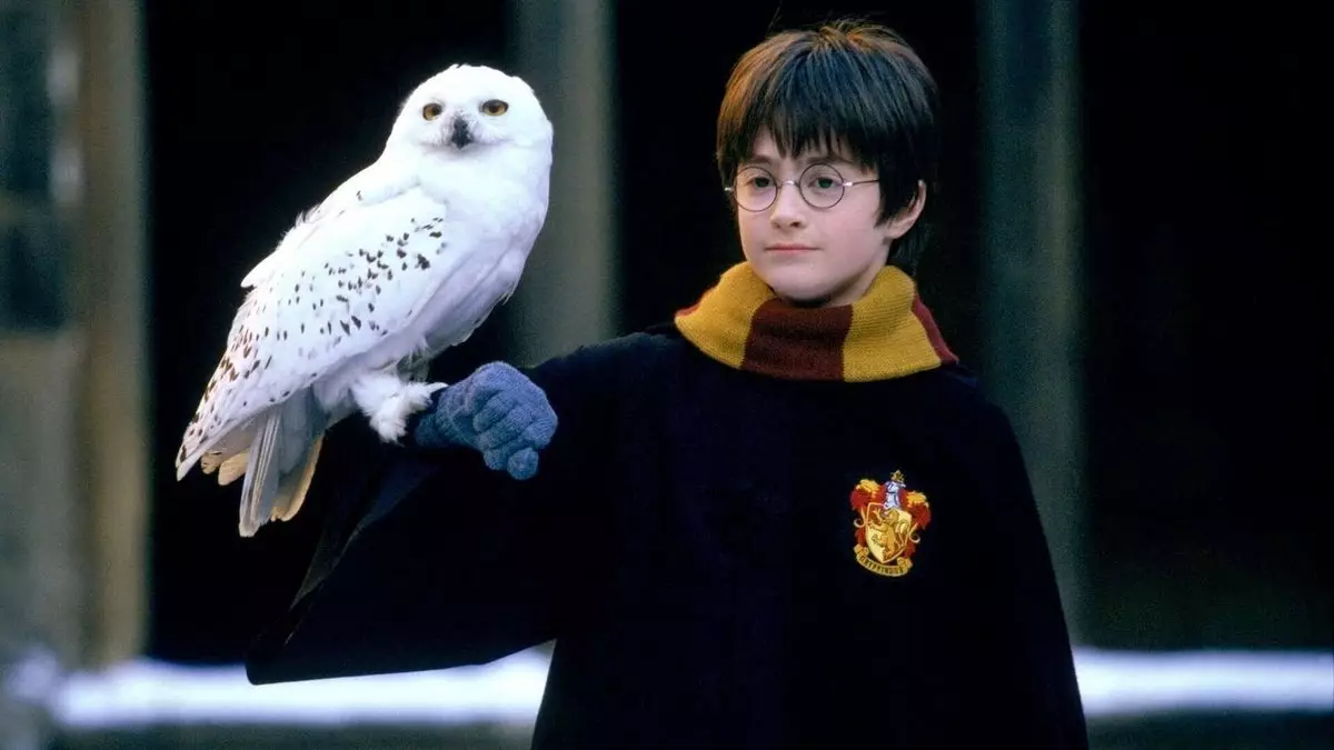 День рождения Гарри Поттера: как появился праздник и когда его отмечают