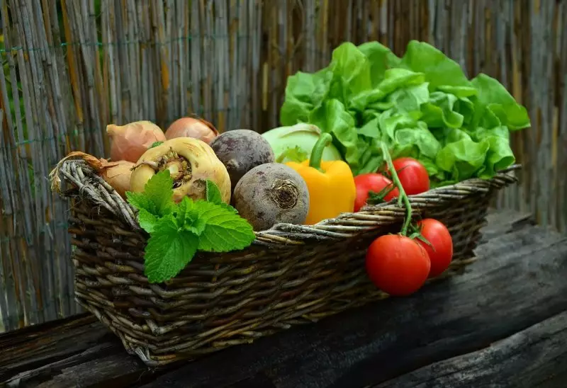 Россия попросила власти Казахстана усилить контроль за поставками овощей