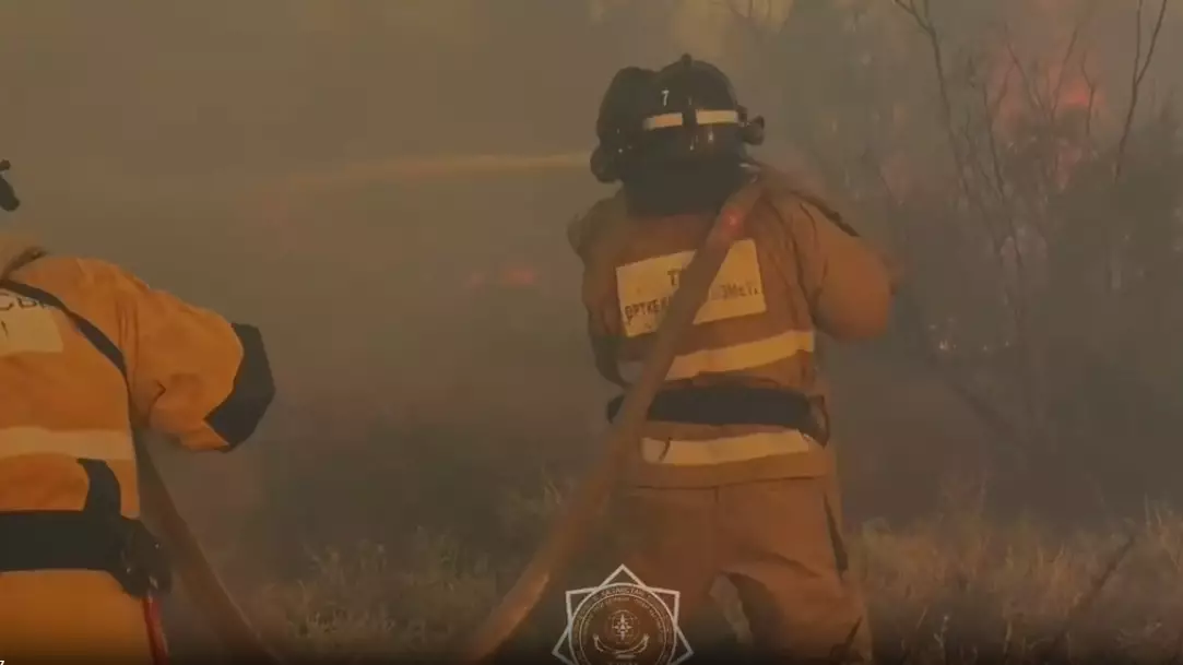 Возгорание сухой травы тушат в Кызылорде