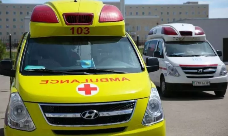 В Алматинской области ребенок погиб из-за обрыва кабеля "Казахтелекома"