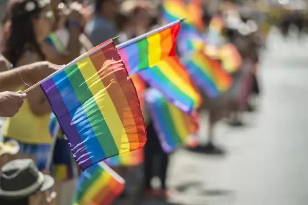 Петицию о запрете пропаганды ЛГБТ удовлетворят частично