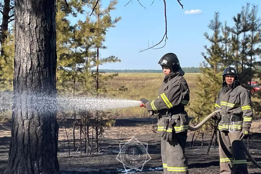 Лесной пожар произошёл области Абай