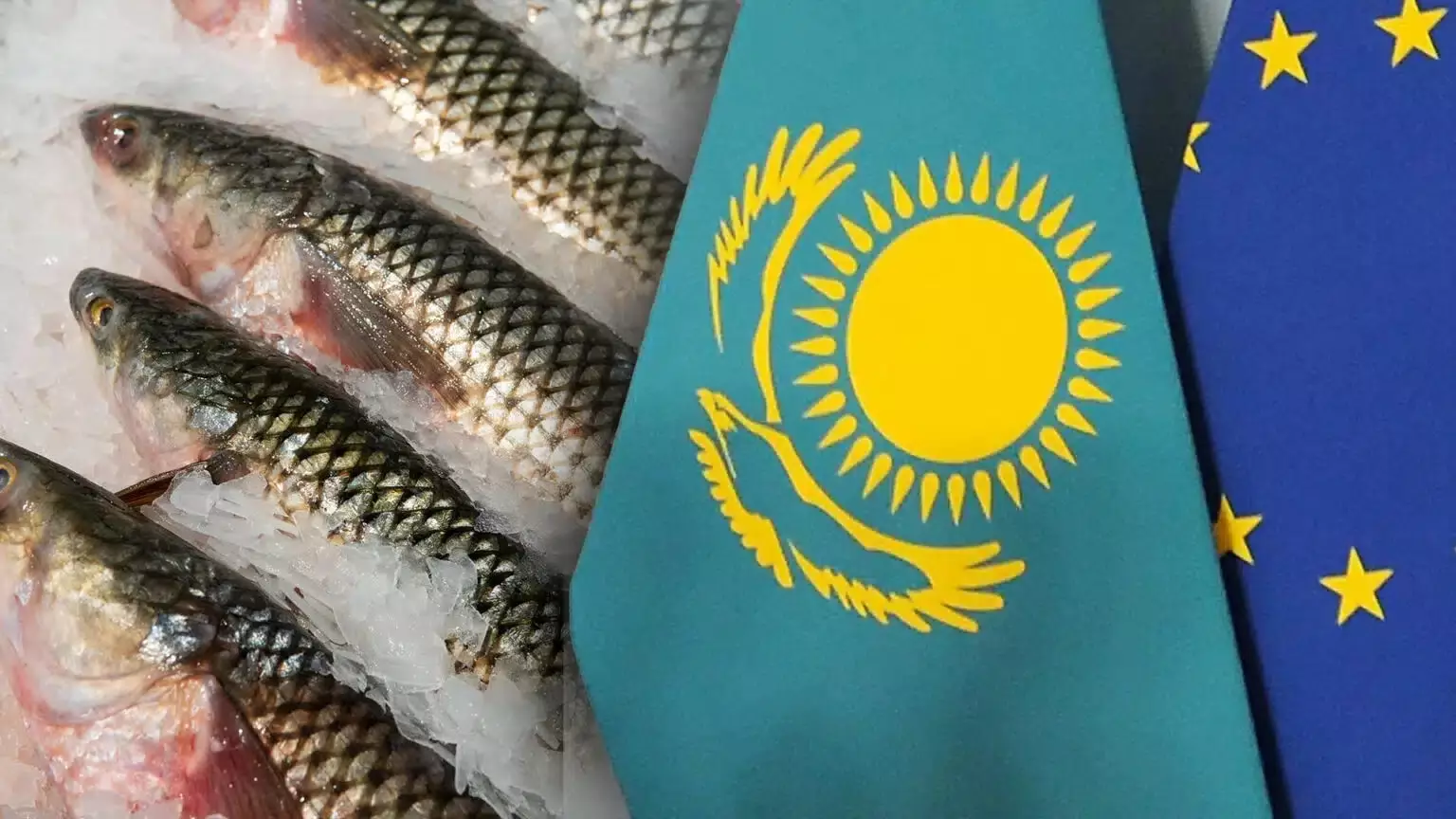 Прокуратура хочет наказать казахстанца штрафом в 210 млн тенге за «рыбную аферу» в странах Евросоюза