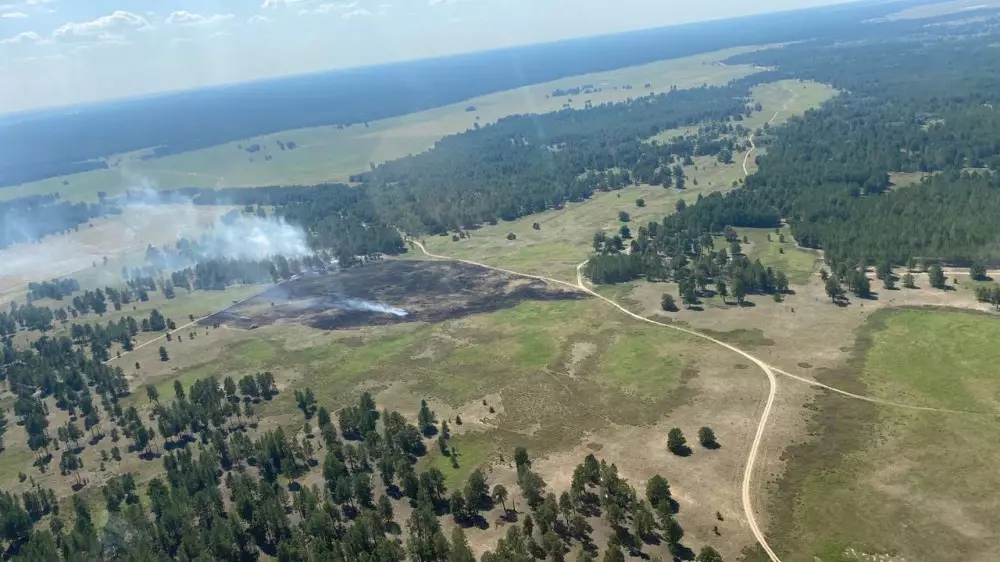 Пожарным удалось спасти лес в природном резервате "Семей орманы"