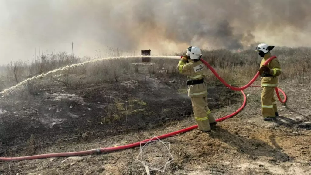 Пожарным потушили огонь в лесу в природном резервате «Семей орманы»