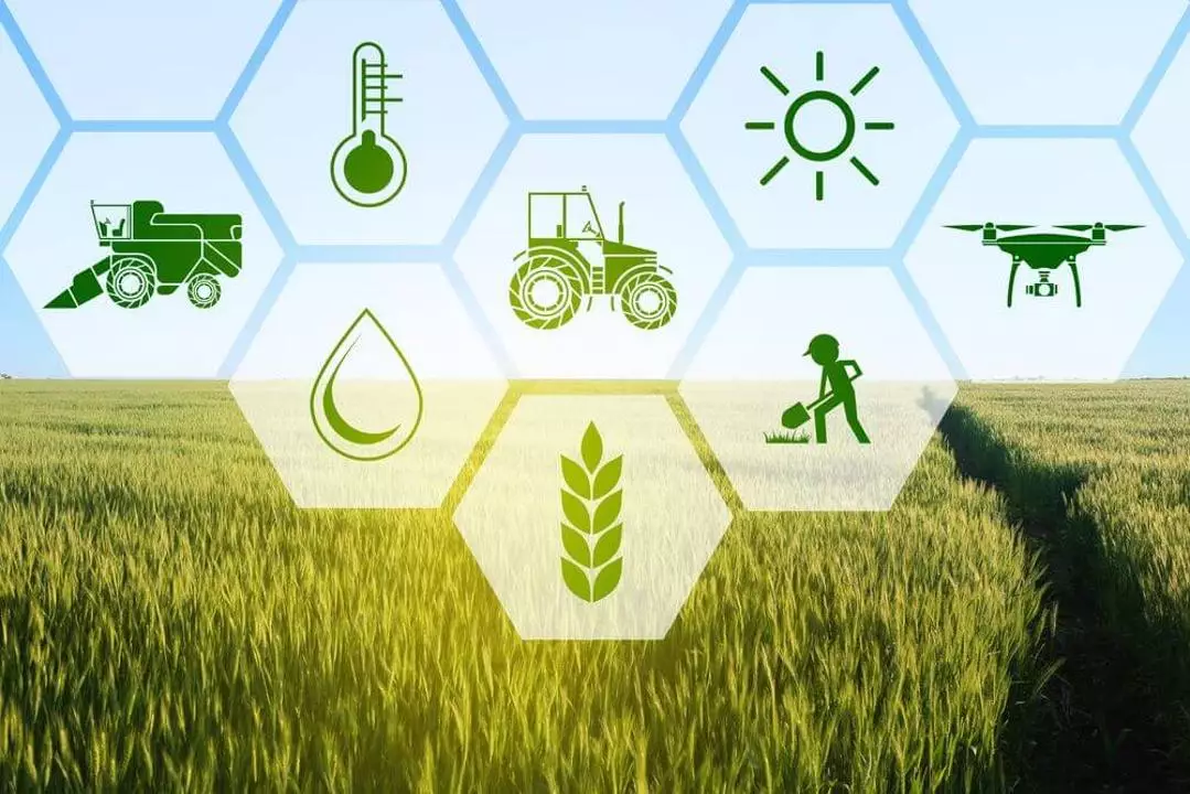 Итоги полугодия: ключевые показатели в сельском хозяйстве и меры государственной поддержки аграриев
