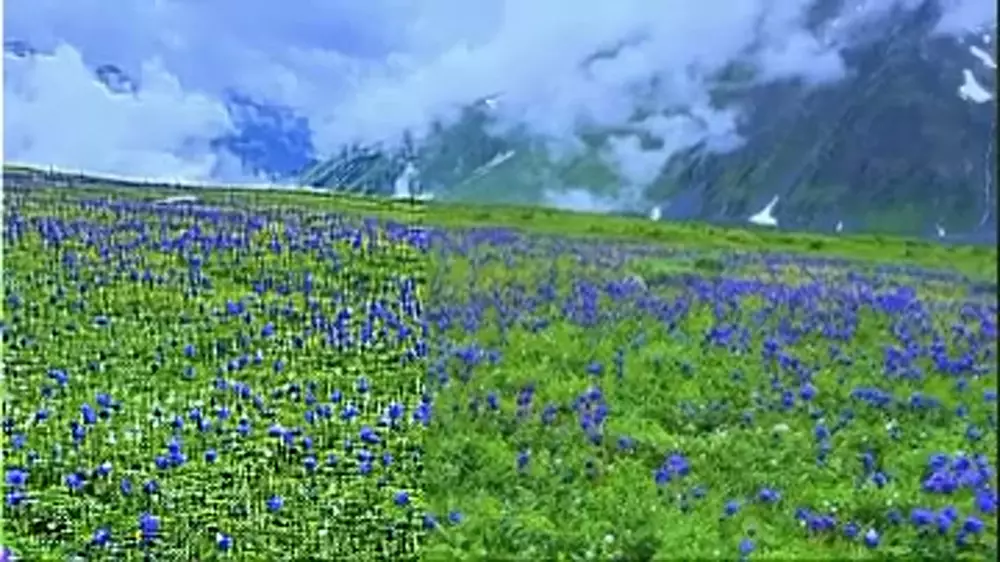 "Не Швейцария, а ВКО": видео казахстанца восхитило Казнет