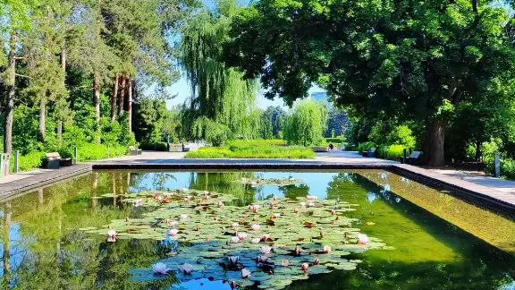 Алматыдағы ботаникалық бақ бір күнге жабылады