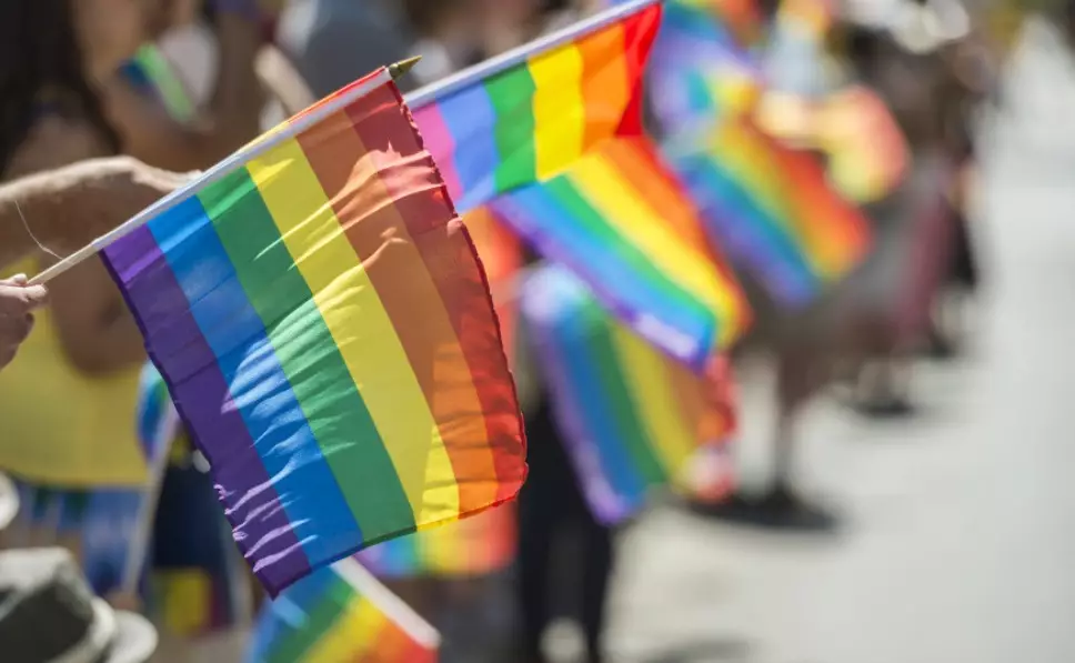 Минкультуры частично поддержало петицию против пропаганды ЛГБТ — Балаева￼