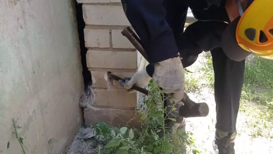Застрявшую в конструкции балкона кошку спасли в Актобе