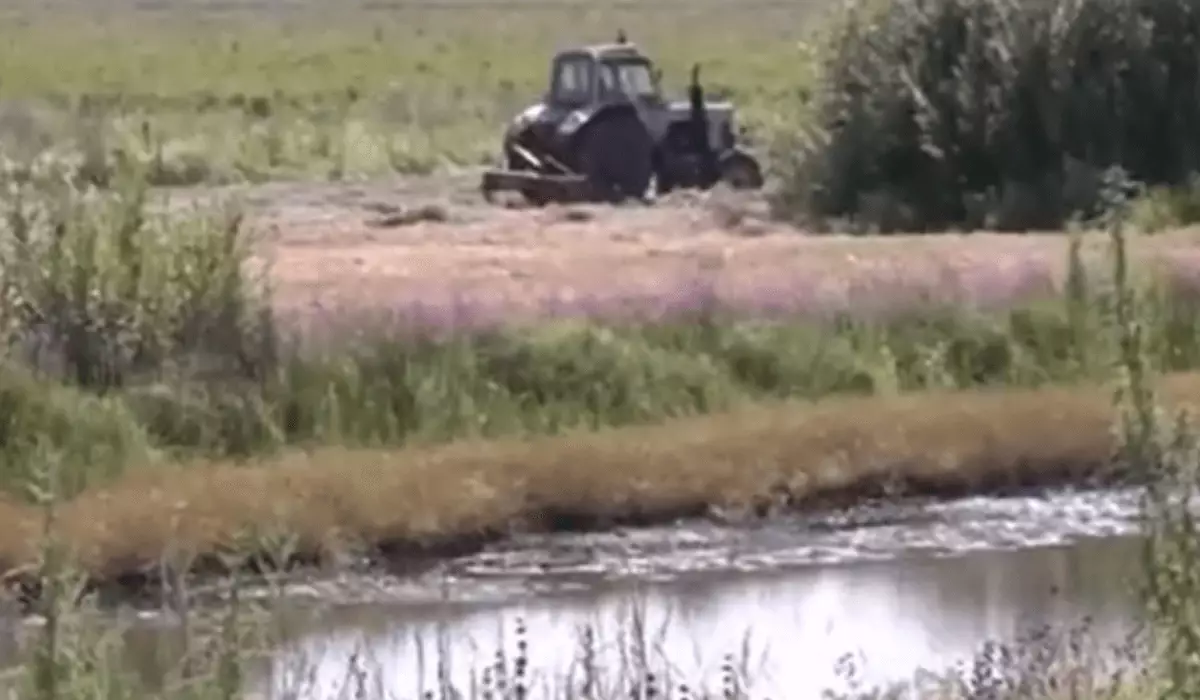 Павлодар облысында шабындықтарды су басуы мүмкін