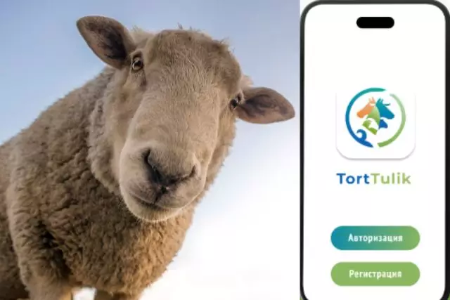 Свыше 122 тысяч казахстанцев пользуется мобильным приложением «TortTulik»