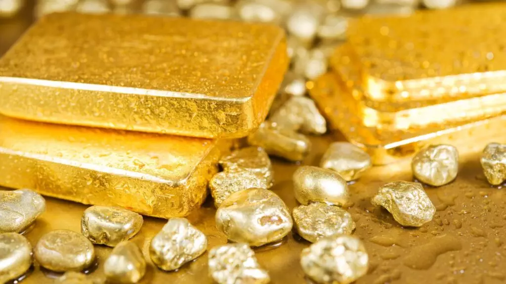 В Жамбылской области были выявлены незаконные добытчики золота