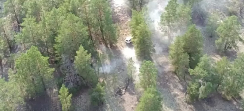 Лесной пожар произошел на территории "Семей орманы"