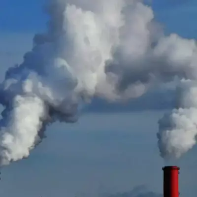 В Казахстане одна из самых низких в мире цен на загрязнение углеродом