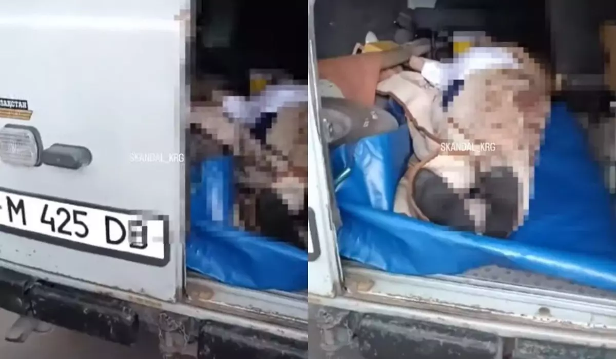 Пациентов перевозили на полу в захламленной карете скорой в Караганде (ВИДЕО)