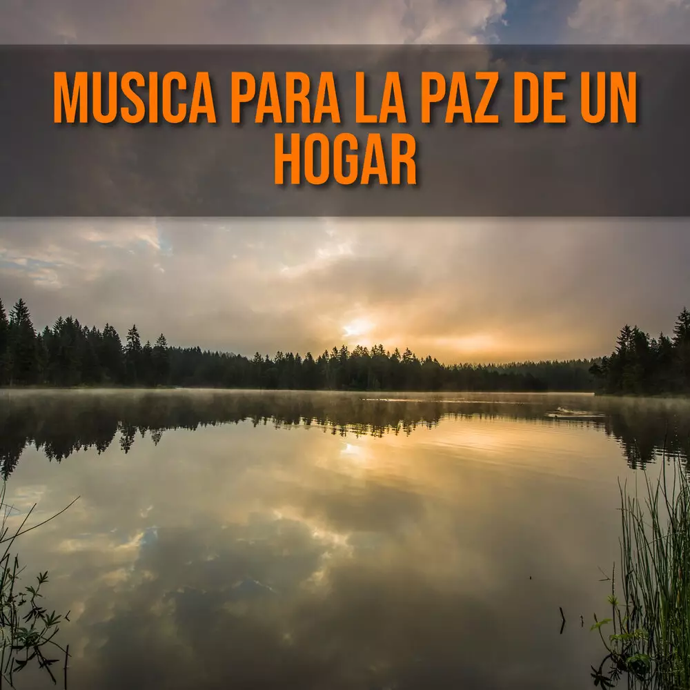 Новый альбом Estimulacion Mental - Musica para la paz de un hogar