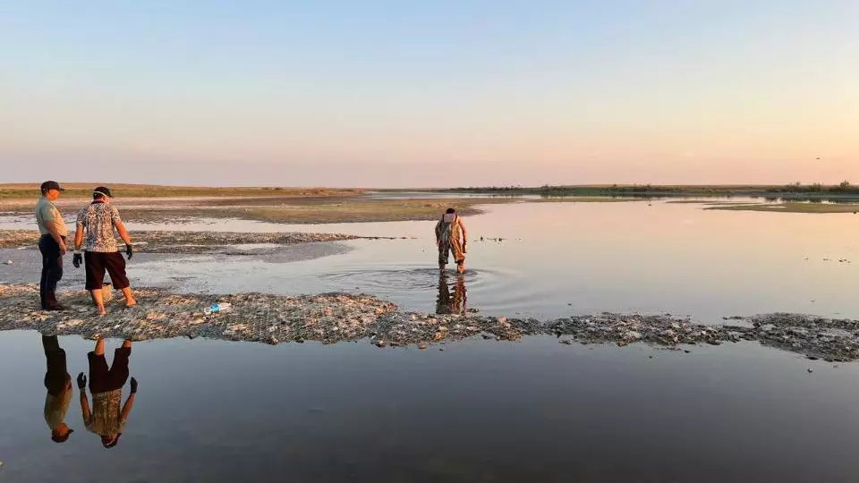 В Атырауской области зафиксирована массовая гибель рыбы из-за нехватки кислорода в воде