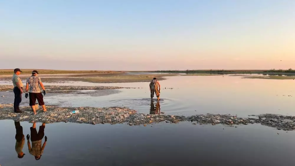 Гибель рыбы в Атырауской области: названа вероятная причина