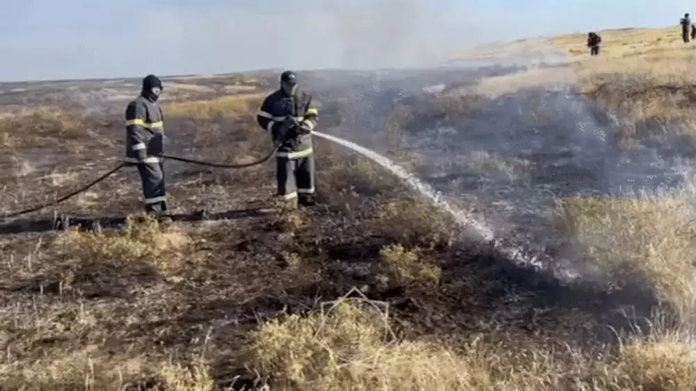 Двое суток тушили степной пожар в области Абай