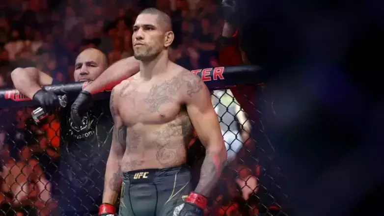 UFC чемпионы жыныстық зорлық-зомбылық жасады деп айыпталды