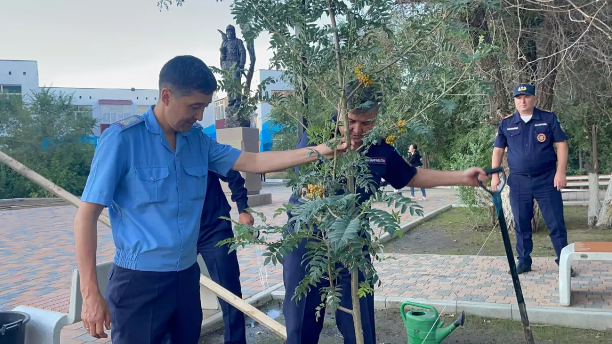 35 деревьев высадили в сквере спасателей области Абай