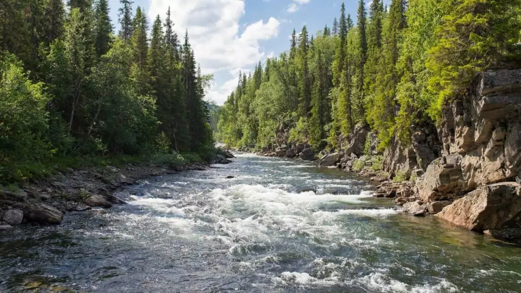 Узбекистан даст 500 миллионов кубометров воды Казахстану