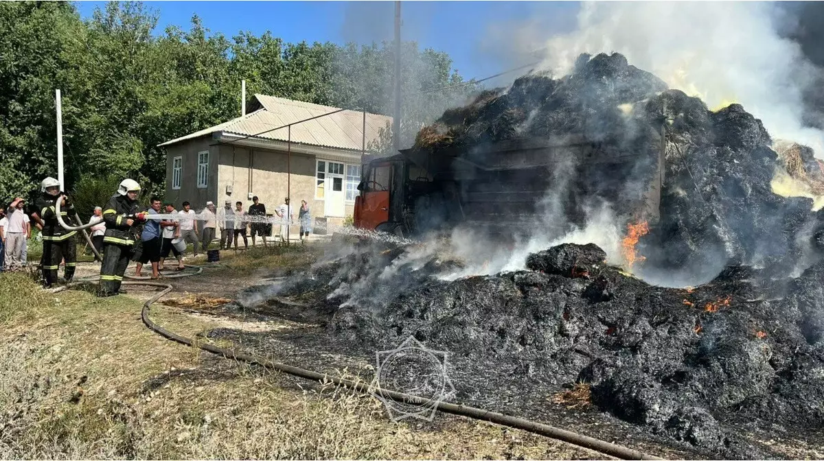 Грузовик с сеном загорелся в Туркестанской области, есть пострадавшие